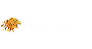 Partner AMB GAMES Gaming™